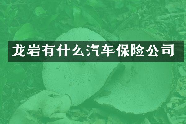 龙岩有什么汽车保险公司