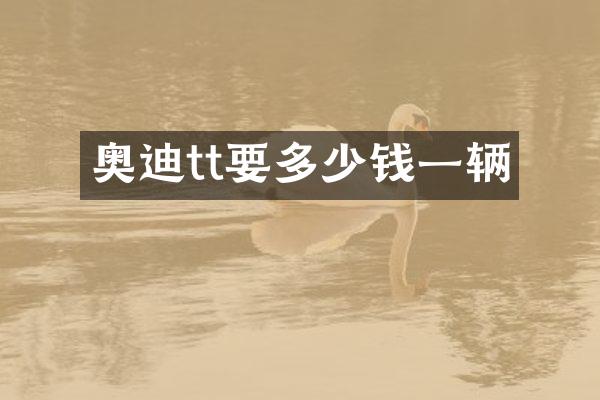 奥迪tt要多少钱一辆