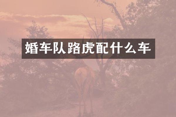 婚车队路虎车