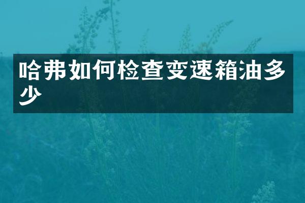 哈弗如何检查变速箱油多少