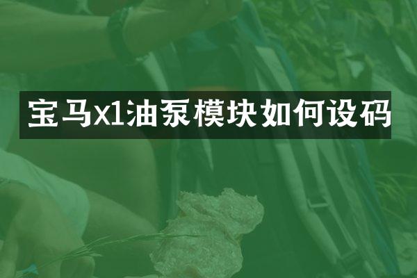 宝马x1油泵模块如何设码