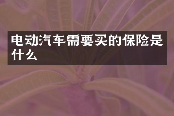 电动汽车需要买的保险是什么
