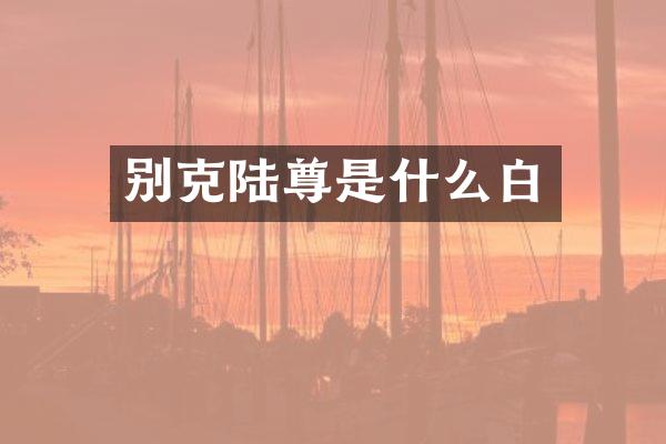 别克陆尊是什么白