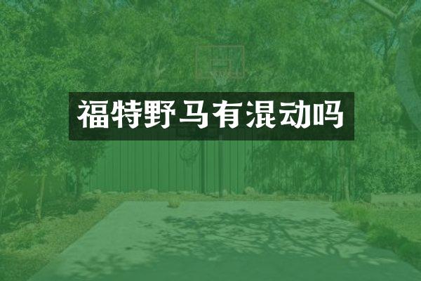 福特野马有混动吗