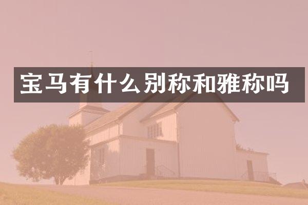宝马有什么别称和雅称吗