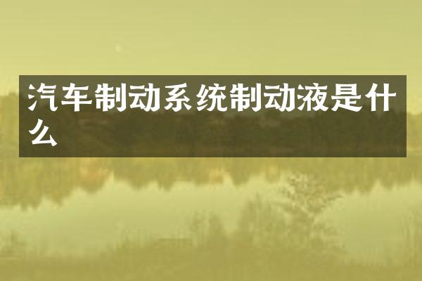 汽车制动系统制动液是什么