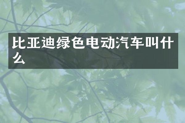 比亚迪绿色电动汽车叫什么