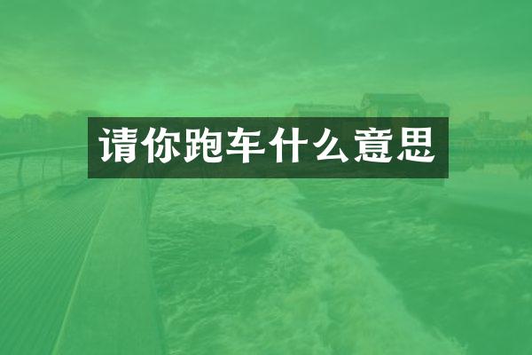 请你跑车什么意思