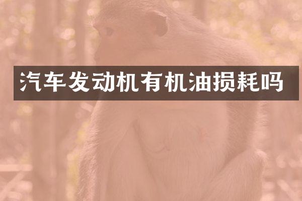 汽车发动机有机油损耗吗