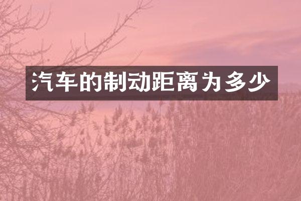 汽车的制动距离为多少