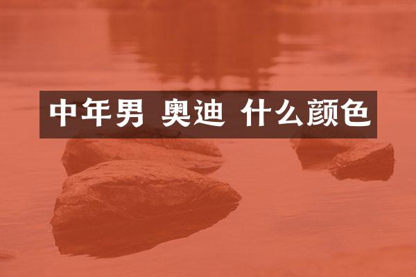中年男 奥迪 什么颜色