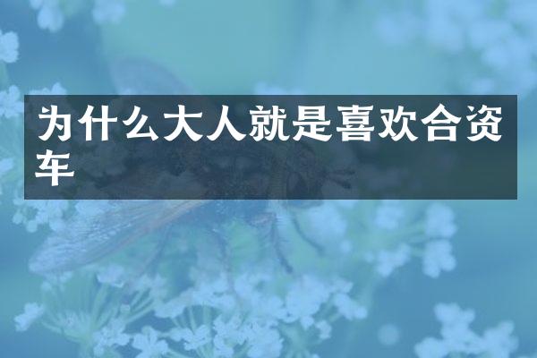 为什么大人就是喜欢合资车