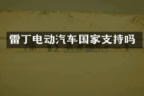 雷丁电动汽车国家支持吗