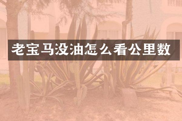 老宝马没油怎么看公里数