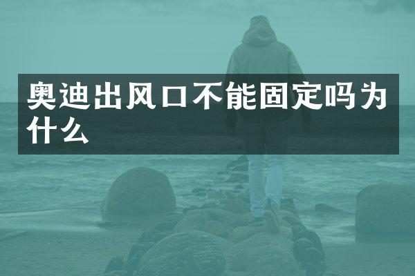 奥迪出风口不能固定吗为什么