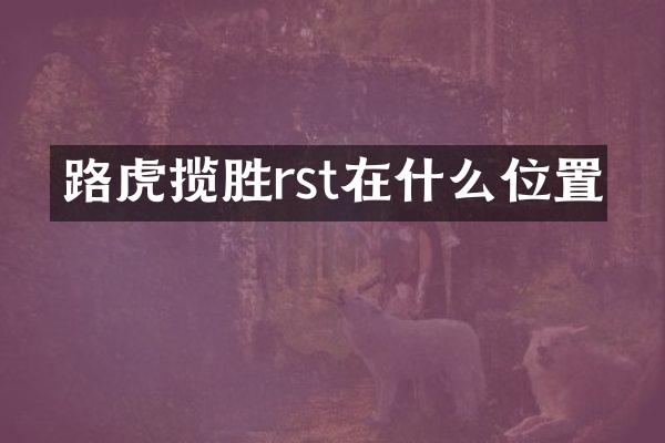 路虎揽胜rst在什么位置
