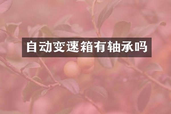 自动变速箱有轴承吗