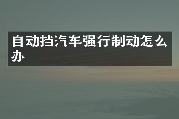 自动挡汽车强行制动怎么办
