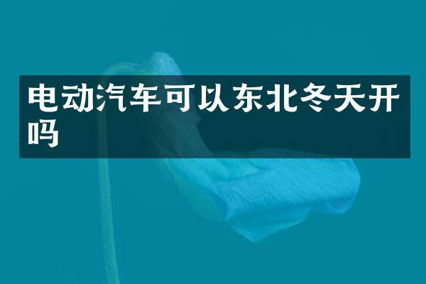 电动汽车可以东北冬天开吗
