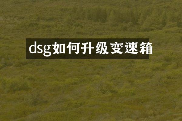 dsg如何升级变速箱