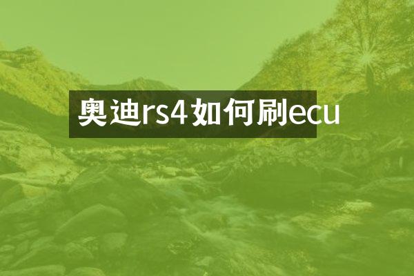 奥迪rs4如何刷ecu