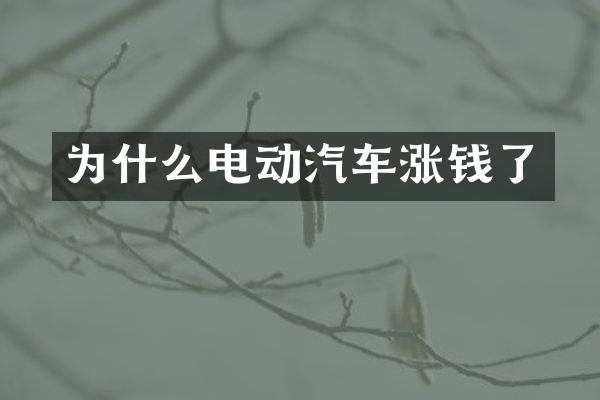 为什么电动汽车涨钱了