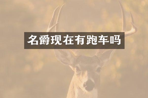 名爵现在有跑车吗