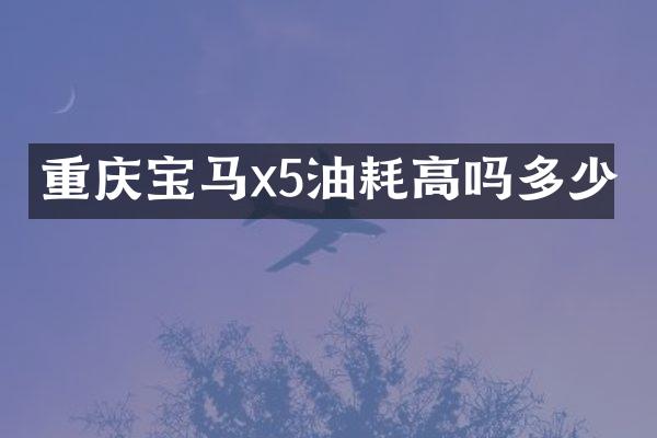 重庆宝马x5油耗高吗多少