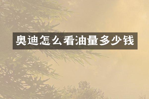 奥迪怎么看油量多少钱