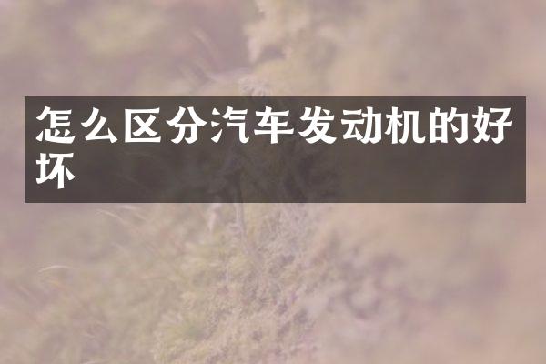 怎么区分汽车发动机的好坏