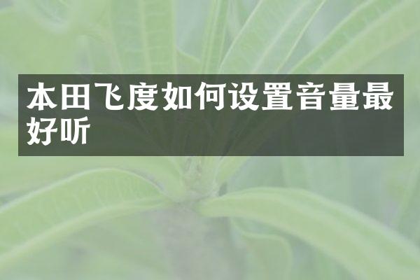 本田飞度如何设置音量最好听