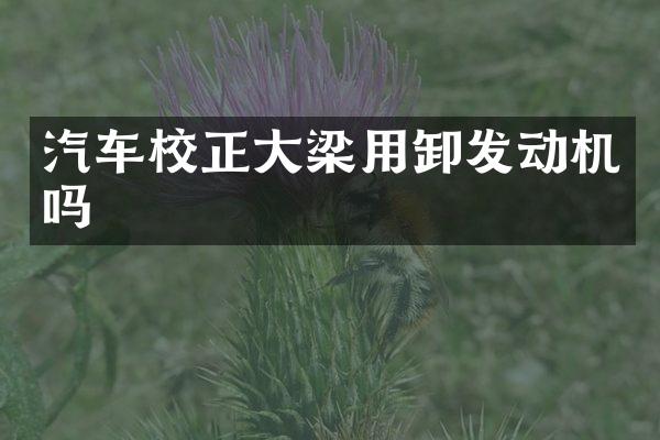 汽车校正大梁用卸发动机吗