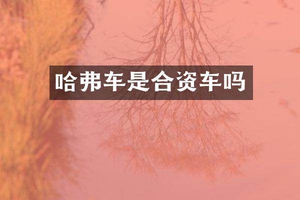 哈弗车是合资车吗