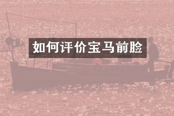 如何评价宝马前脸