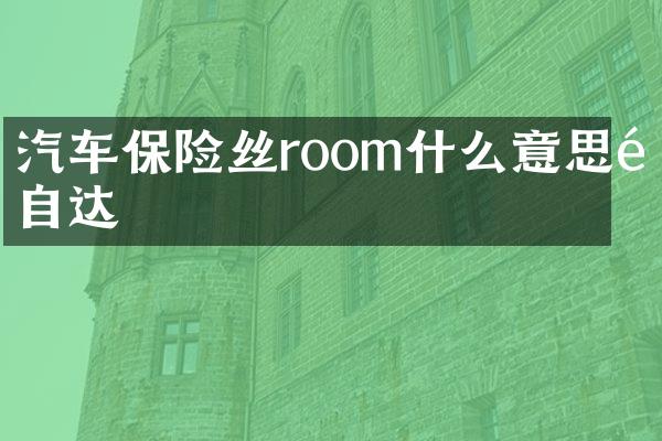 汽车保险丝room什么意思马自达