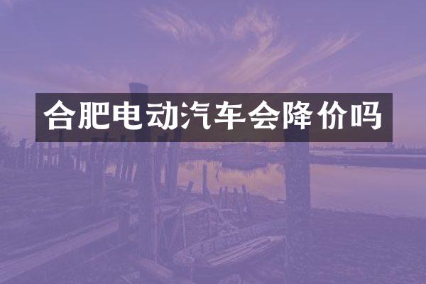 合肥电动汽车会降价吗