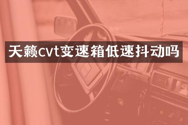 天籁cvt变速箱低速抖动吗