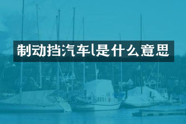 制动挡汽车l是什么意思