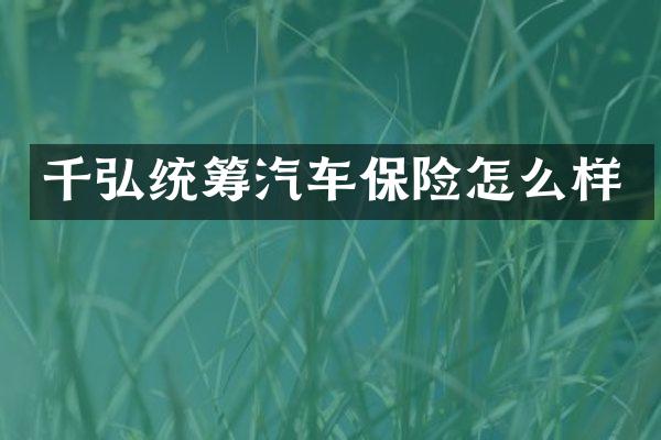 千弘统筹汽车保险怎么样
