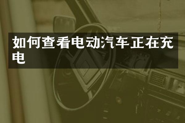 如何查看电动汽车正在充电