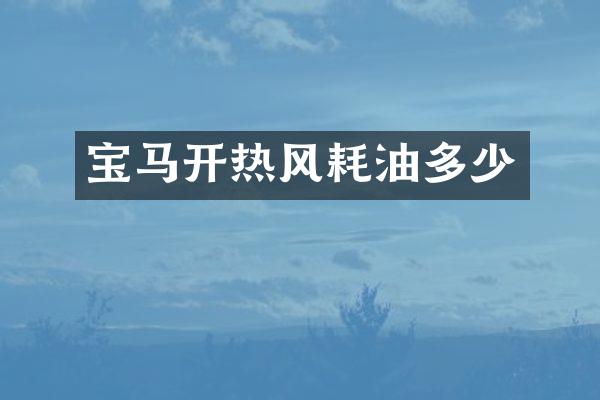 宝马开热风耗油多少
