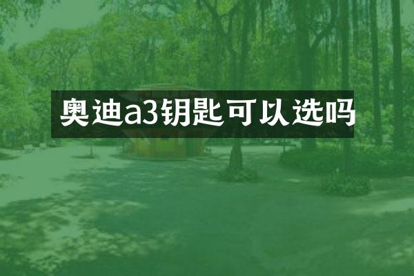 奥迪a3钥匙可以选吗