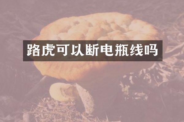 路虎可以断电瓶线吗