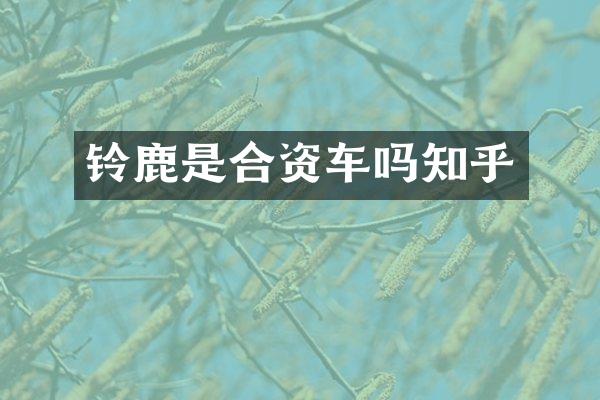 铃鹿是合资车吗知乎