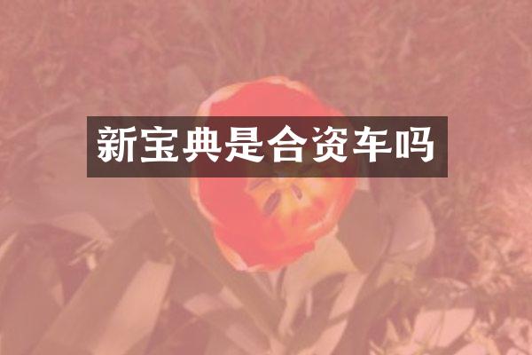 新宝典是合资车吗
