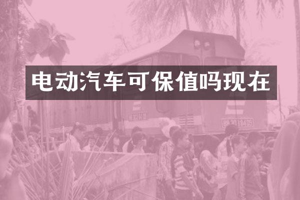 电动汽车可保值吗现在