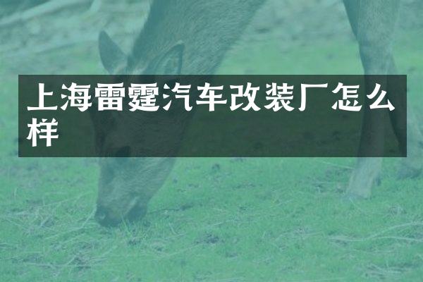 上海雷霆汽车改装厂怎么样