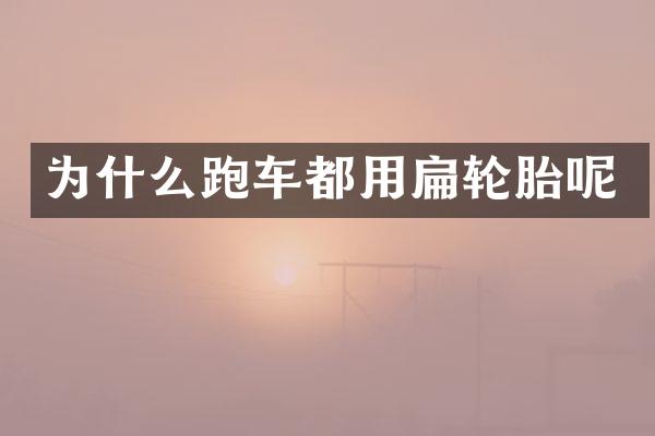 为什么跑车都用扁轮胎呢