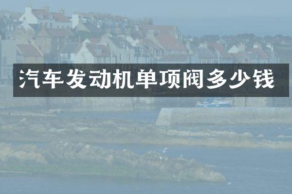 汽车发动机单项阀多少钱