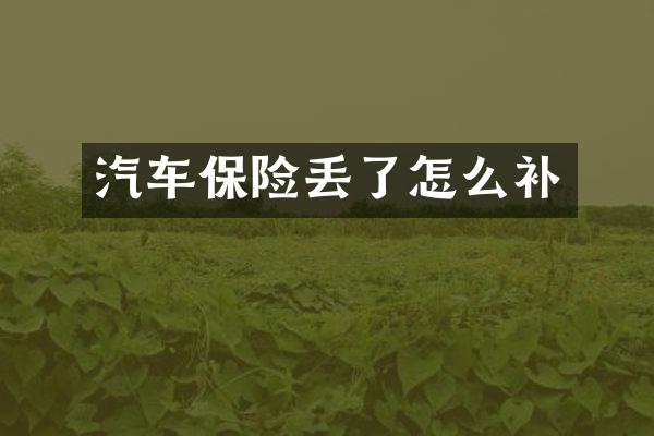 汽车保险丢了怎么补